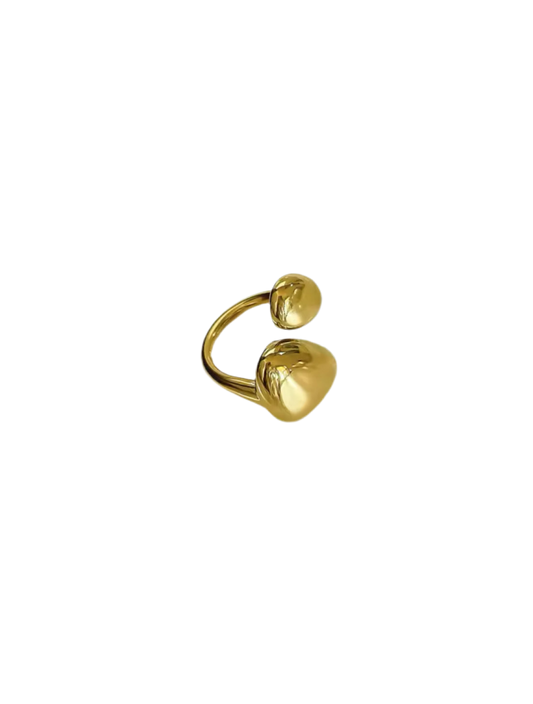 Ring "Shiny Twins"