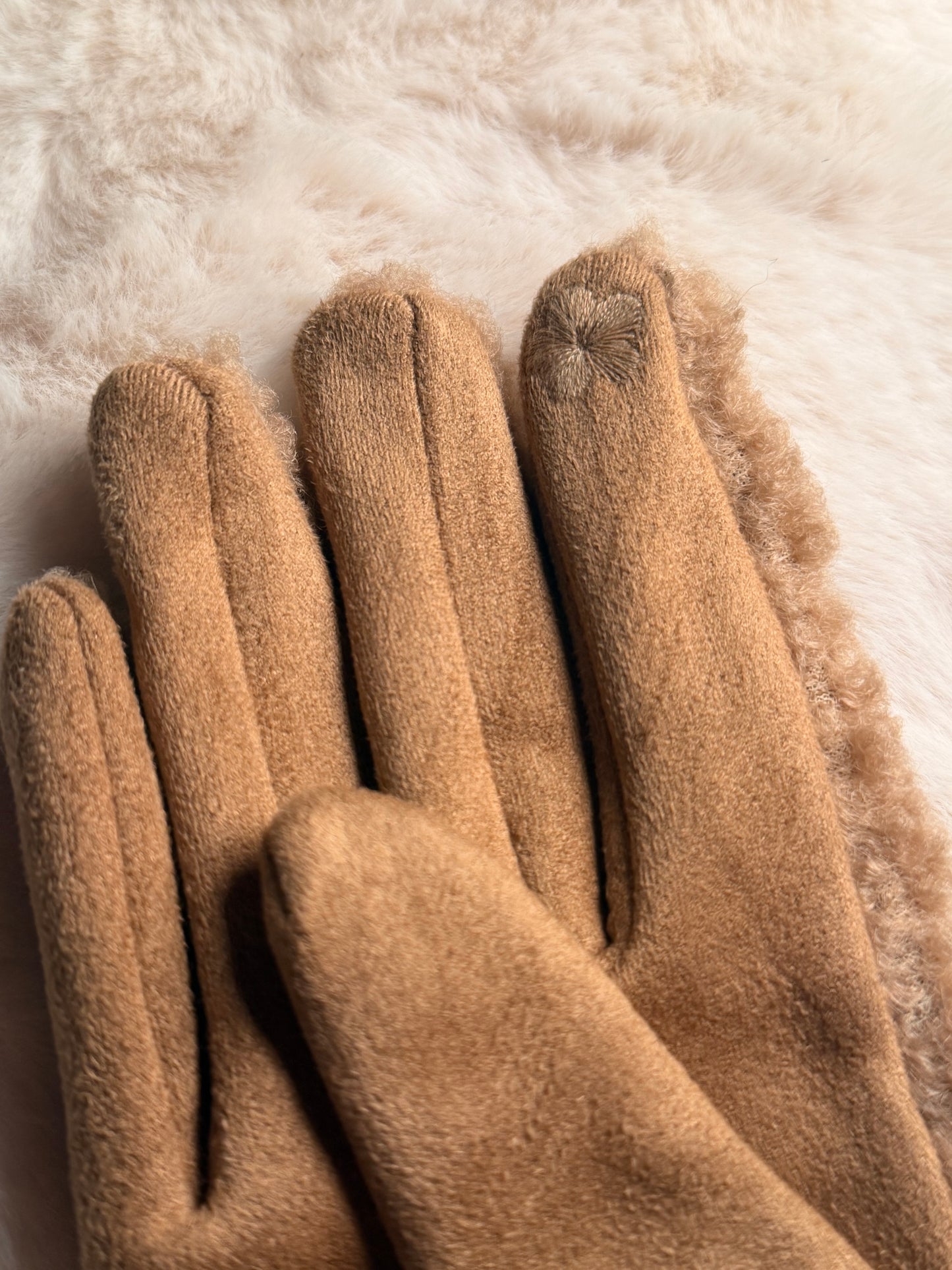 Kuschelige Teddy-Handschuhe – verschiedene Farben