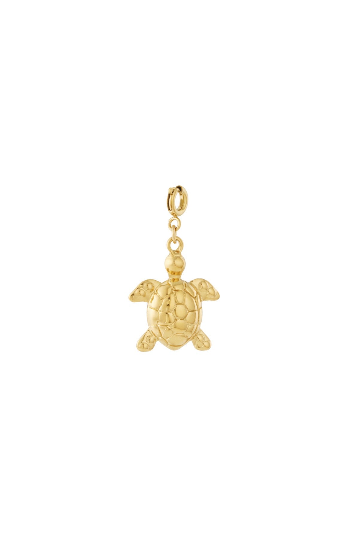 Schildkröten Schmuckanhänger