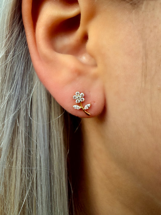 Gloriosa Ohrstecker | Titan