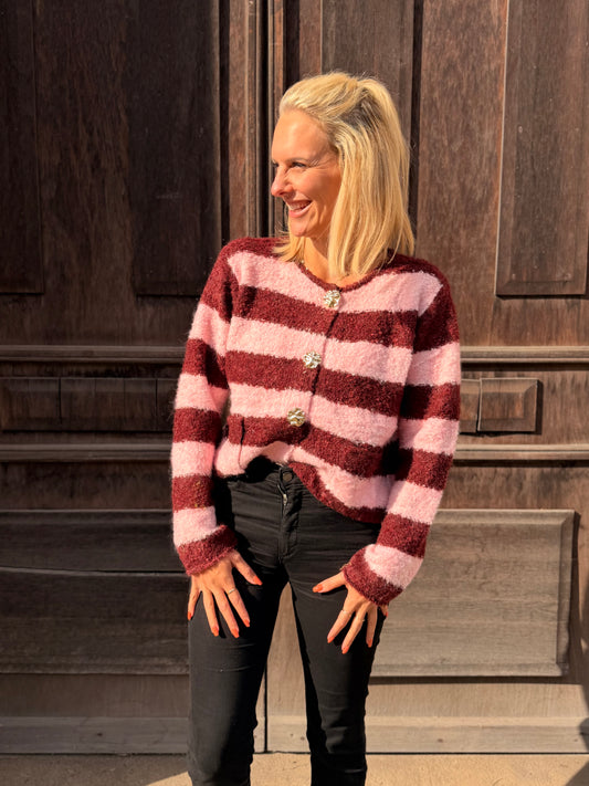 Cardigan „Bold Stripes“ – Pink & Bordeaux mit Goldknöpfen