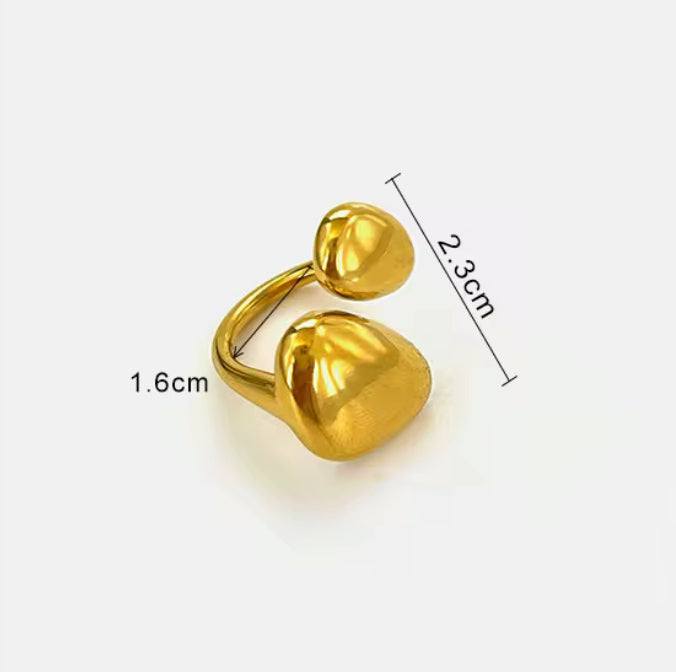 Ring "Shiny Twins"